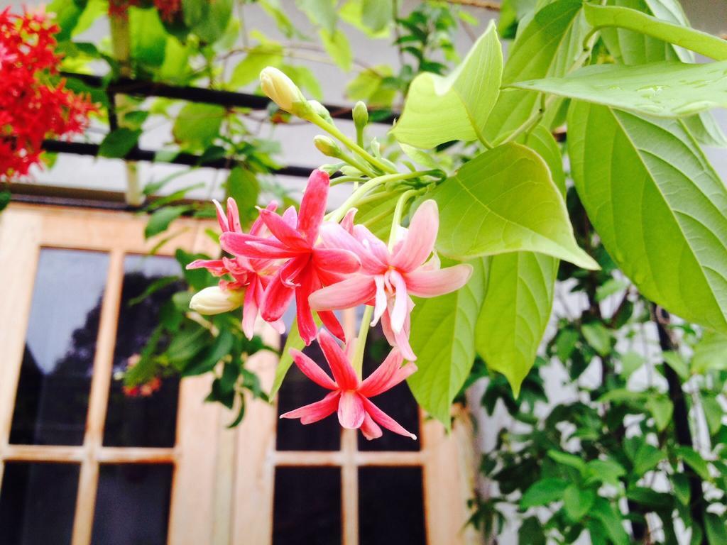 Manik Home Stay Kudapaduwa Eksteriør billede