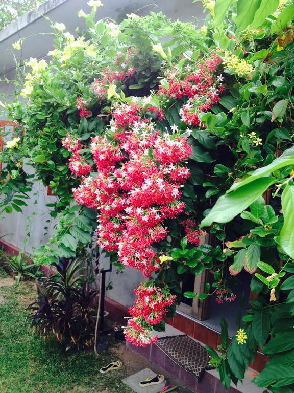 Manik Home Stay Kudapaduwa Eksteriør billede